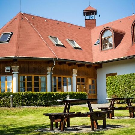 Penzion Terasa, Bed & Breakfast Velké Losiny 外观 照片