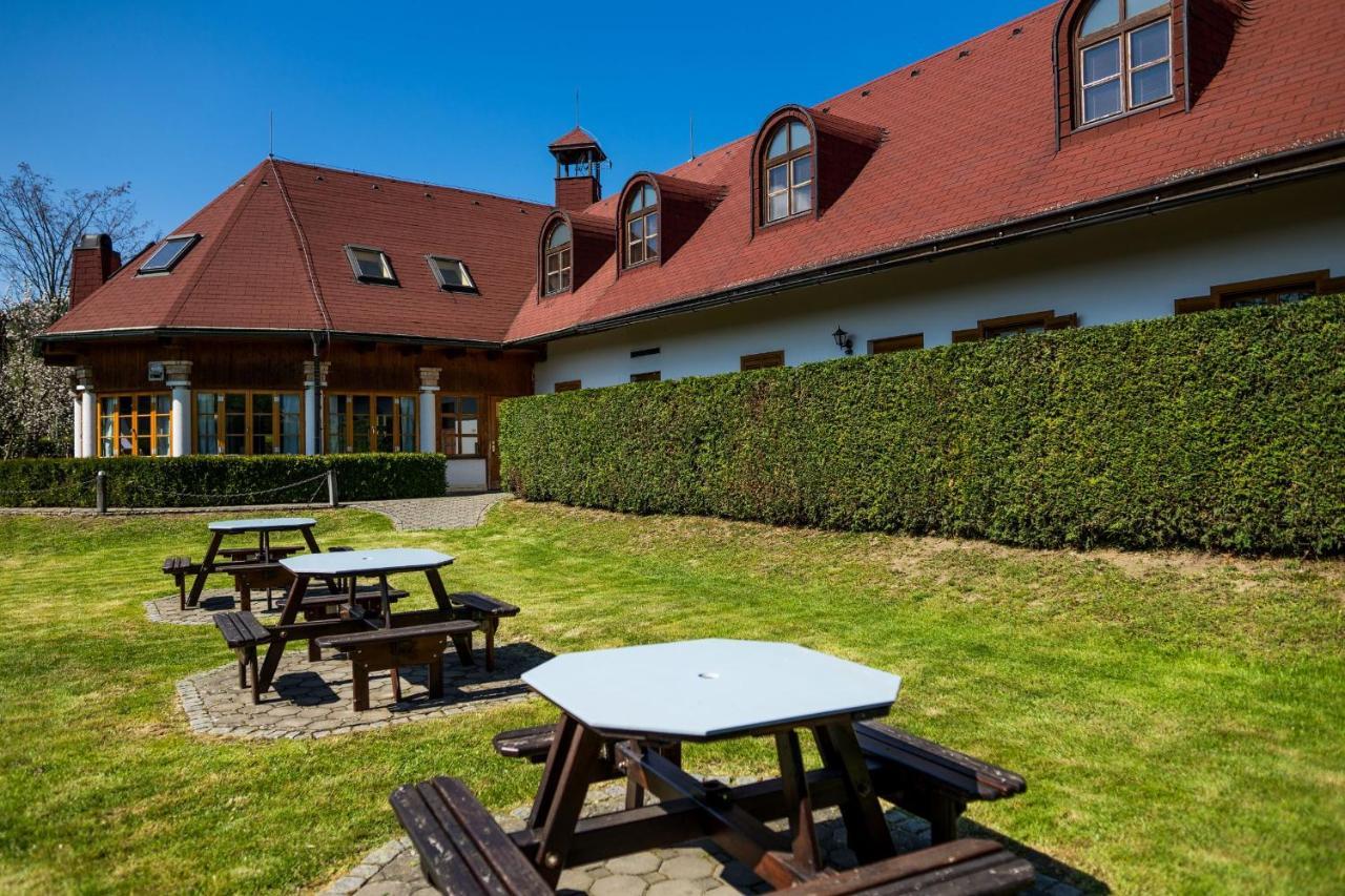 Penzion Terasa, Bed & Breakfast Velké Losiny 外观 照片
